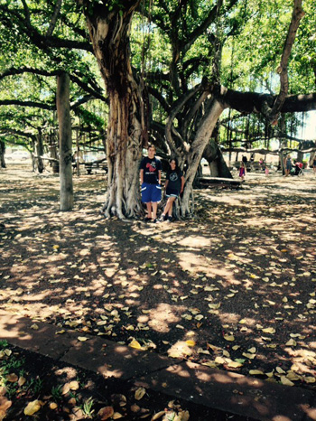 [Banyan]