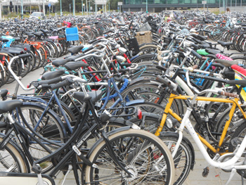[Many Bikes]