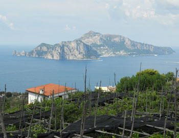 [Capri]