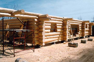 [Erecting Logs]