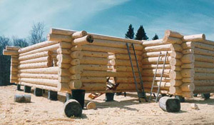 [Log Carving 1]