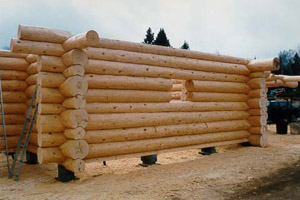 [Log Carving 3]