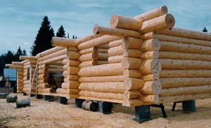 [Log Carving 2]