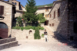 [Collepino]