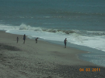 [Shell Hunt]