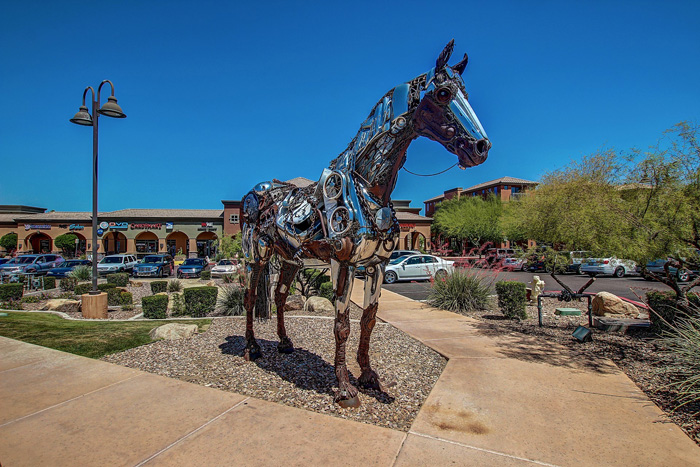 [Horse]