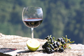 [Grapes & Lemons]