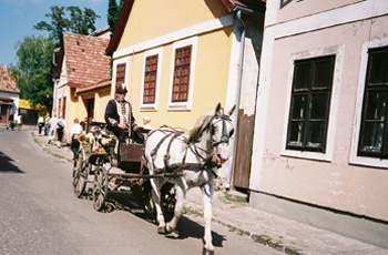 [Horse & Buggy]