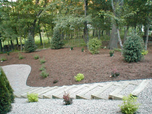 [Landscaped Yard]
