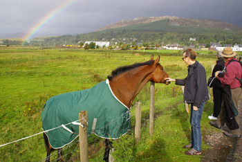 [The Pot O' Gold]