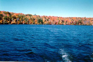 [Lake View]
