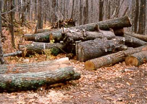 [Logs]