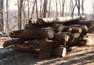 [Log Pile]