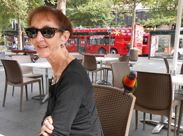 [Friendly Parrots]