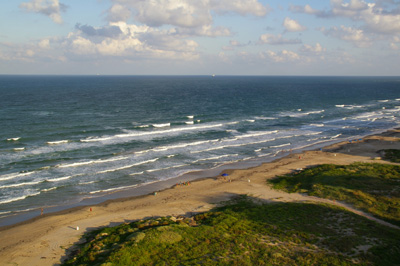 [Surf]