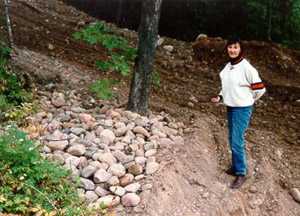 [Fireplace Rocks]