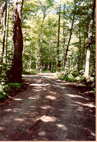 [New Road]