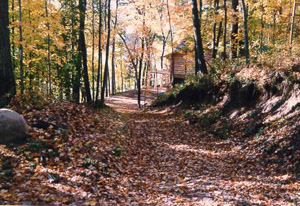 [Driveway]