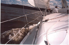 [Trip Section Photo 3]