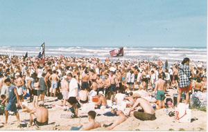 [Spring Break]