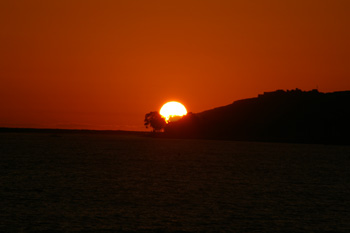 [California Sunset]